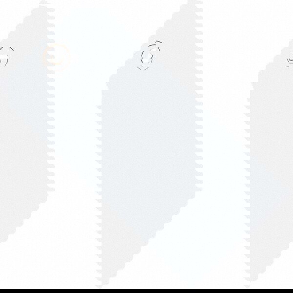 Blank Tag: 4-3/4'' High, White, Synthetic Paper